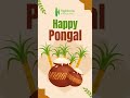 Happy Pongal from all of us at Highbrow Interactive!