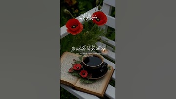 سورة المرسلات من38 الي 41 #اكسبلور #المصحف #لايك #الرحمن #اكسبلورر #قرآن #قران_كريم #قصص #قران #مصر