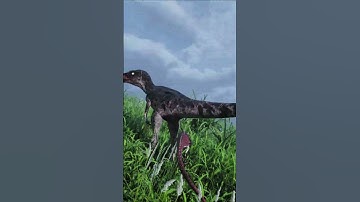 If I die you die too😂 -The Isle EVRIMA Troodon #theisle #troodon #theislegameplay #dinosaur #theisle