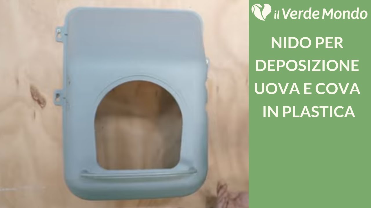 Nido Per Galline In Plastica - Per Depositione Uova, Con Raccolta Automatica, Montaggio A Parete