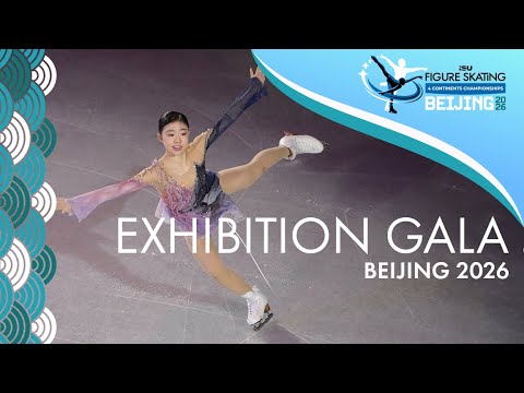 Exhibition Tour–Look Again: European Paintings 1300-1800