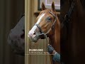 Hip 837 - $1 million