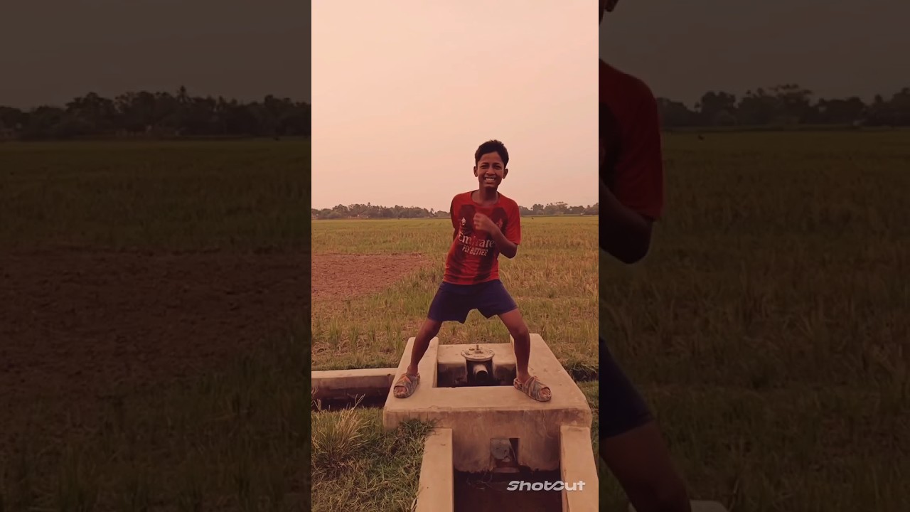 fane video #### Avon Gamer