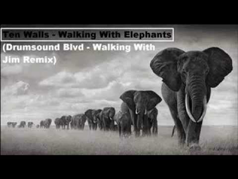 Ten Walls - Walking With Elephants (Drumsound Blvd.- (Walking With Jim Intro Remix)