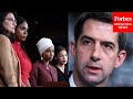 Tom Cotton Rips "The Squad" For Condemnations Of Israel During Hamas Conflict