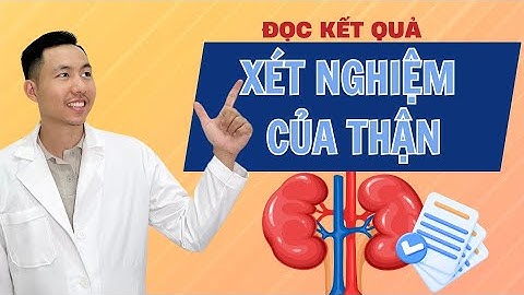 Hướng Dẫn Đọc Kết Quả Xét Nghiệm Đánh Giá Chức Năng Thận