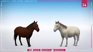 Scientists want to clone a 42,000 year old extinct foal