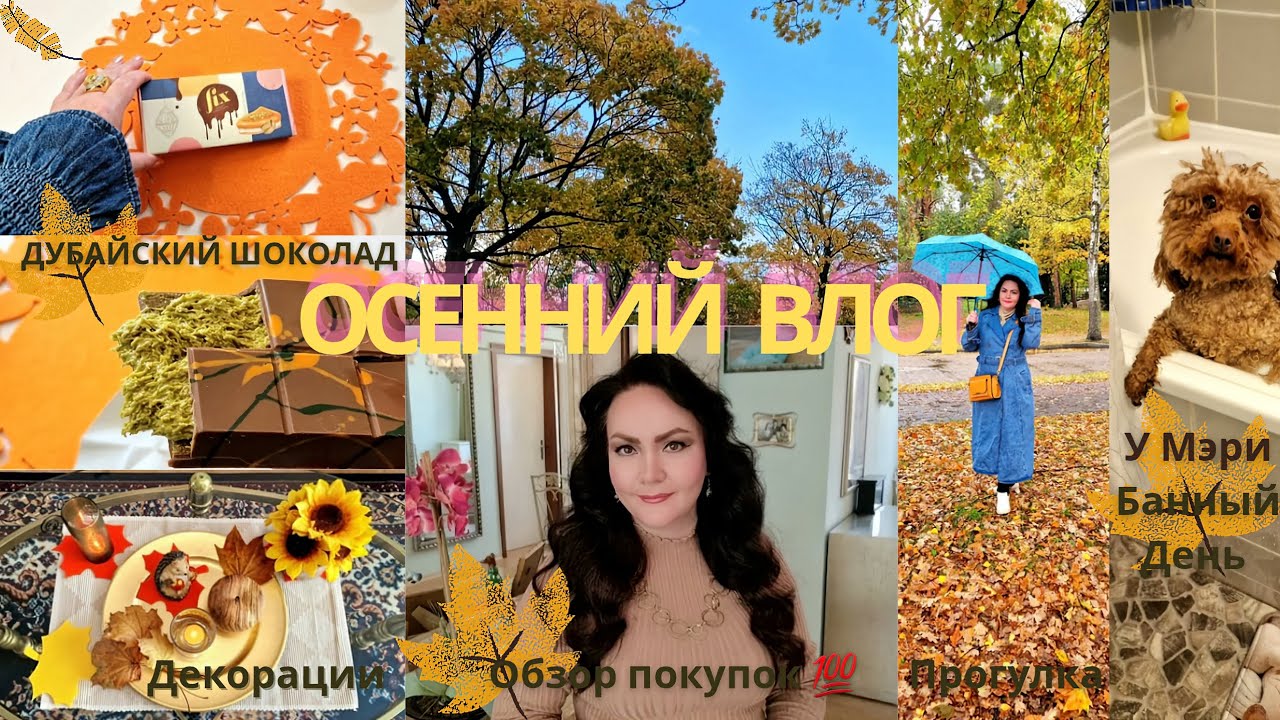 ОСЕННИЙ ВЛОГ.☔️. ДЕКОРАЦИИ ДОМА🏠. ОБЗОР НОВИНОК: PANDORA, ALDO, YVES ROCHER 🌝. 