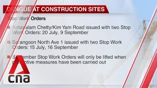 Mosquito breeding at construction sites: 21 stop work orders issued, 10 contractors to be charged