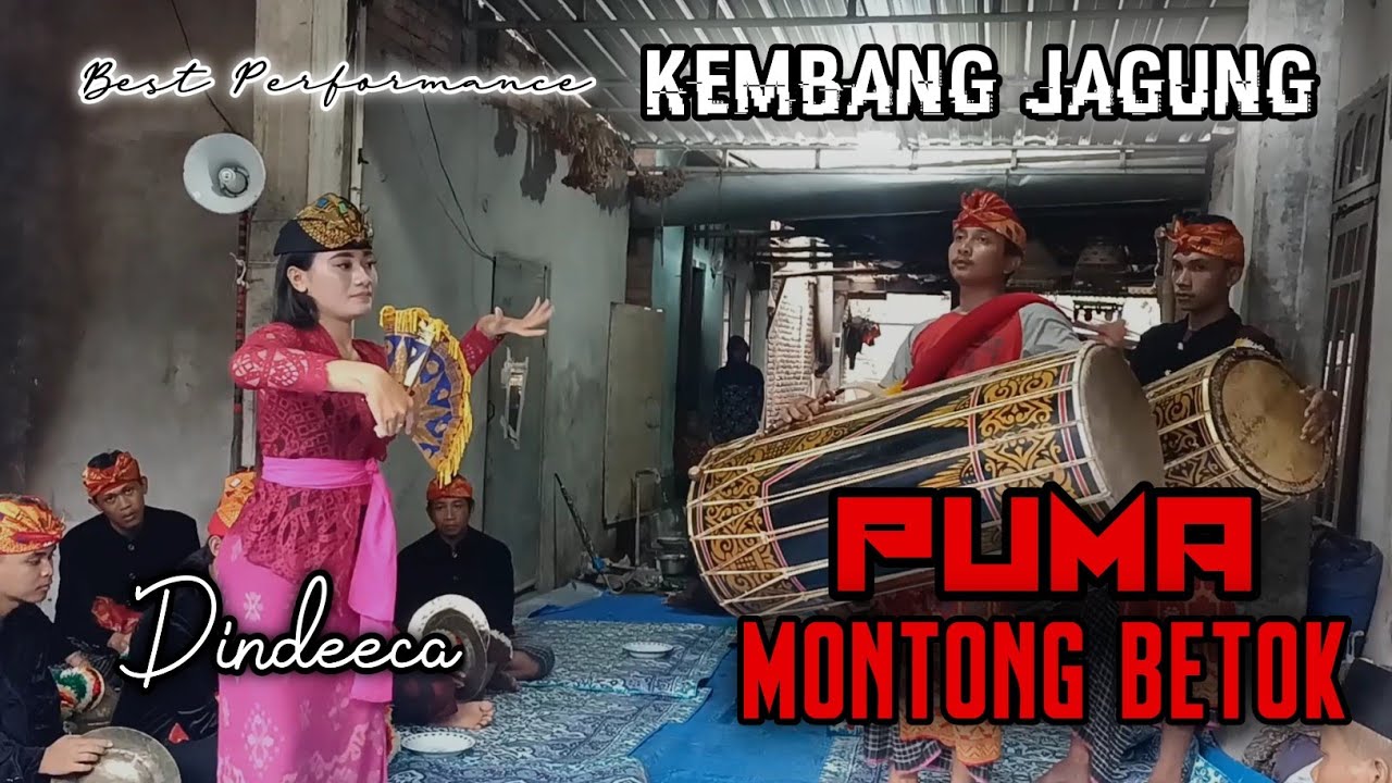 TABUH KEMBANG JAGUNG || BEST PERFORMANCE GENDANG BELEQ PUMA MONTONG BETOK ft. Dindeeca