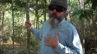 Extend Your Food Supplies