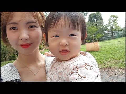 <strong>매미소리</strong> 바람소리 가을 느낌 물씬 물씬