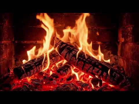 You’re Safe Here 🌲 Starlit Campfire & Forest Night Sounds to Calm Your Anxious Mind (No Music ASMR)