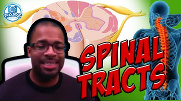 NPTE Practice Questions: Sensory Testing