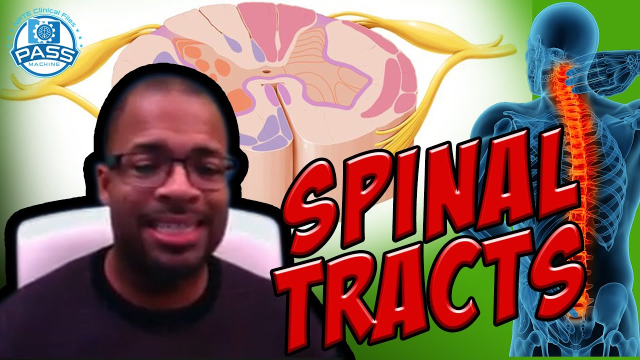 NPTE Practice Questions: Sensory Testing