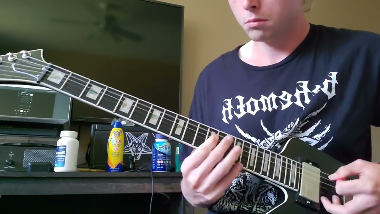 Satanic Warmaster - Bound in Lust and Hate (guitar cover)