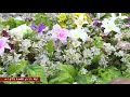 مديح مولود مولانا علي بن موسى الرضا ع 1439هـ mp3