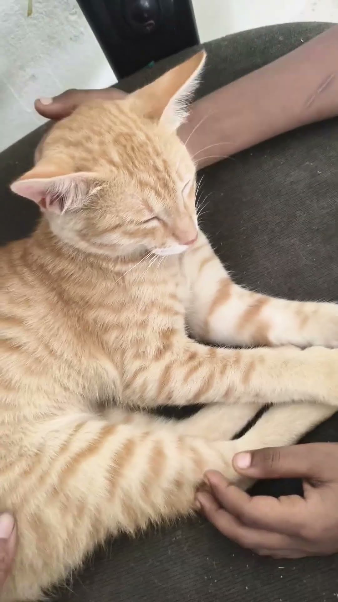 🤣காமெடி ஸ்டேட்டஸ் - ShareChat