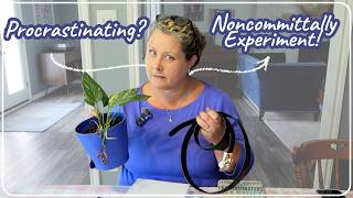 Noncommittal Experimentation to Eliminate Fear of Failure