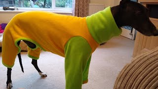 DIY Full Greyhound Pyjamas // Polar Fleece, Dual Colour screenshot 2