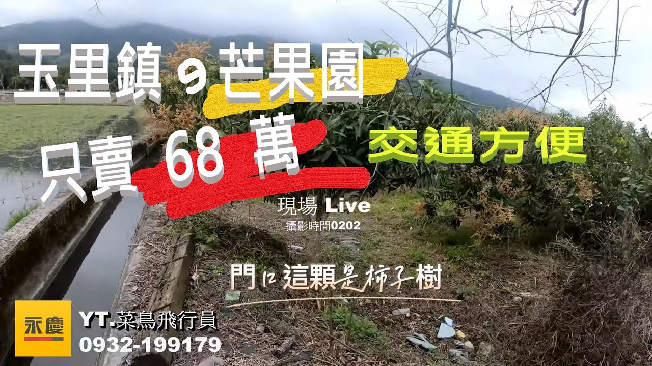 玉里鎮的芒果園只賣68萬超讚芒果園..低總價..比買車還便宜..洽0932-199179永慶林昱緯