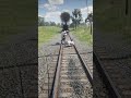 Mountain Lion Brutal Attack While Skinning Deer 😱 Realistic RDR2 Wildlife Moment #shorts #gaming