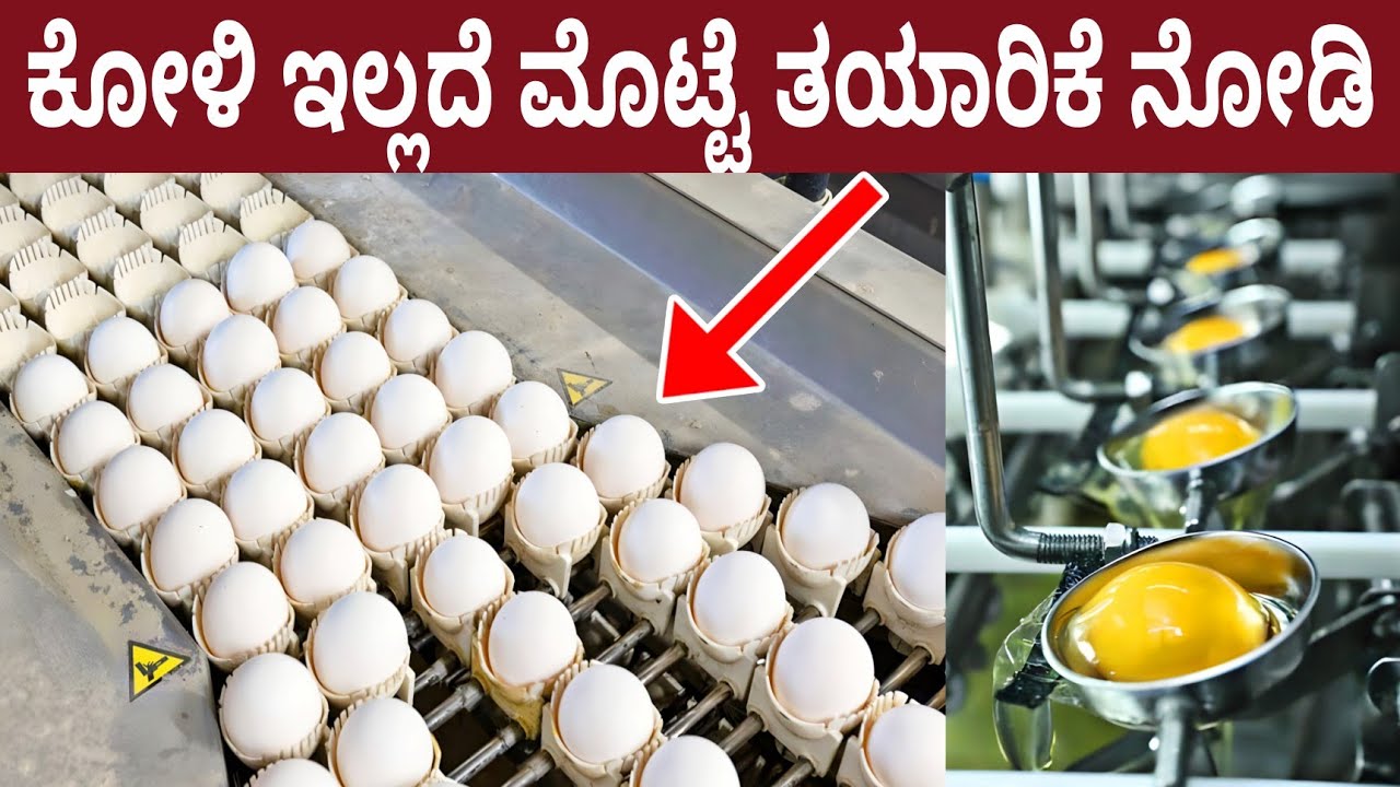 ಕೋಳಿ ಇಲ್ಲದೆ ಮೊಟ್ಟೆ ಹೇಗೆ ತಯಾರು ಮಾಡುತ್ತಾರೆ ನಿಮ್ಮ ಕಣ್ಣಾರೆ ನೋಡಿ | Eggs Without Chicken New Technic