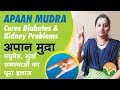   apaan mudra         cures diabetes  kidney problems