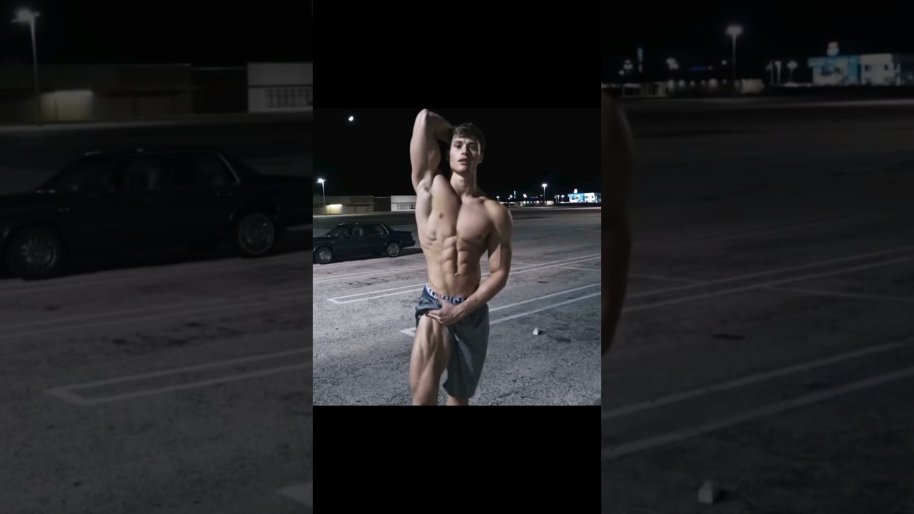 David Laid | Faded - Alan Walker        