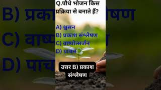 #UPTET #UPTET2026 #Maths #Science #MCQ #TeachingExam #Shorts #ViralShorts #VisionRankers 📚🎯
