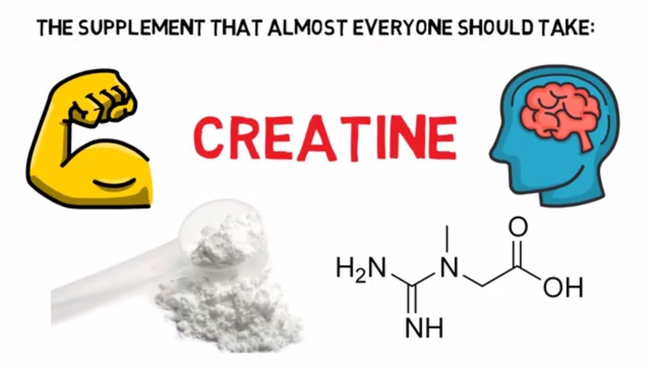 the-supplement-that-almost-everyone-should-take-creatine-youtube