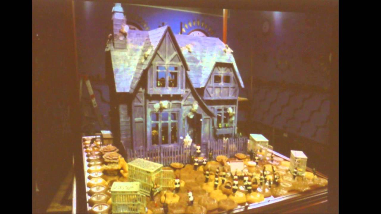 Artist and Entomologist: Panel with Jennifer Angus and Seán Brady -  WONDER Artist Talk