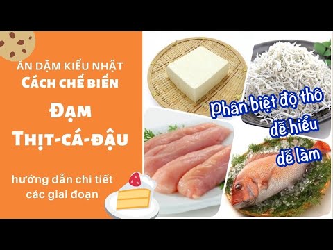 Video Cách chế biến ĐẠM (đậu hũ, cá, thịt) theo từng giai... - youtube