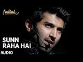 Sun Raha Hai Na Tu Aashiqui 2 Ankit Tiwari Aditya Roy Kapur Shraddha Kapoor