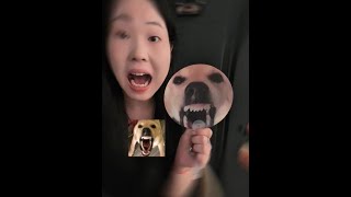 You have already become a mature big dog, you can bark freely now!