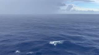 2022/11/3 atlantic thunder storm on board the jewel of the seas