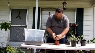 basic potting terms