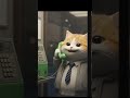 頑張るって約束したから😿🐾
