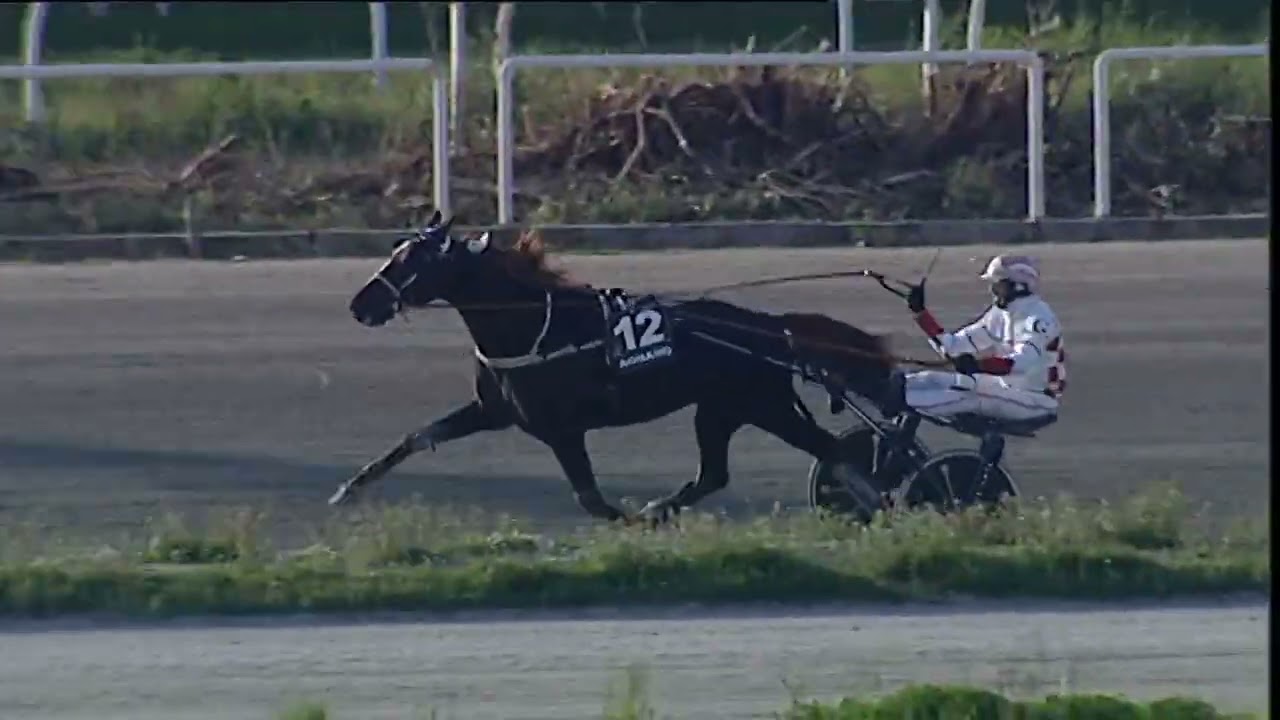 Napoli Trotto 09/03/2026 - 3ª corsa