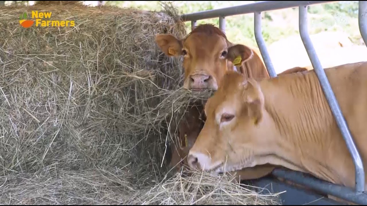 New Farmers - L’allevamento sostenibile nell’Alto Mugello