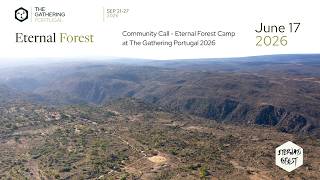 Eternal Forest Camp Community Call 17 July