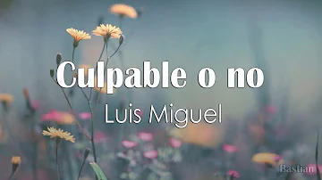 Luis Miguel - Culpable O No (Letra) ♡