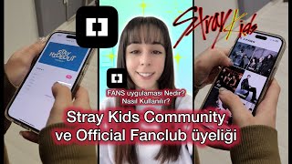 5Dkda Jypnin Fans Uygulamasını Anlamak 기