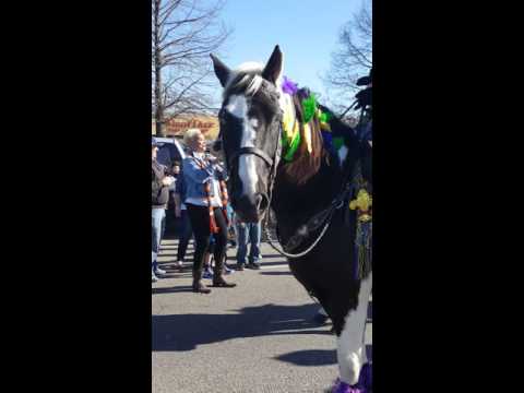 Slidellians Pearl River Band 2016 