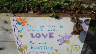 Surrey, Burnaby lags behind Vancouver and Richmond in community gardens