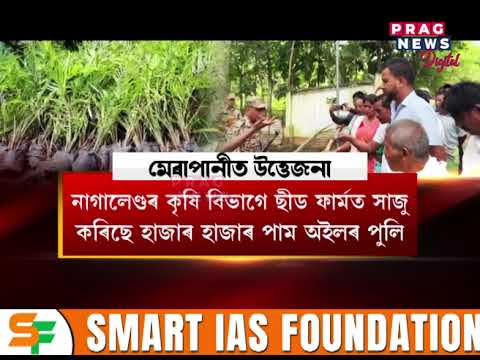 অসমৰ ভূমি দখলেৰে অব্যাহত নগাৰ দপদপনি