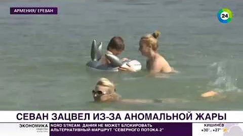 Из чистейшего озера – в болото? Почему зацвел Севан