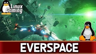 Everspace | Ubuntu 17.10 | Linux Gaming