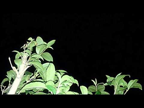 나의 밤 我的夜 - 에피톤 프로젝트 Epitone project (各自的夜)