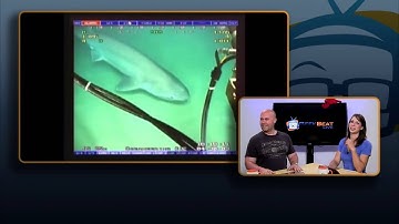 Geek Beat Archives   Sharks, Lasers and Drones, Oh My! GB LIVE 0145